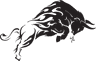 Bull